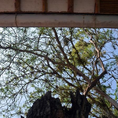 Albahaca Hospedaje Tienda Barichara Luaran gambar